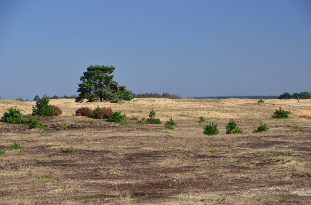 Natuurpark Hoefbos Boshuisje Veluwe Otterlo Bagian luar foto